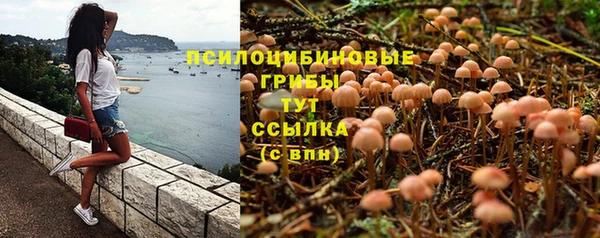 эйфоретик Магас