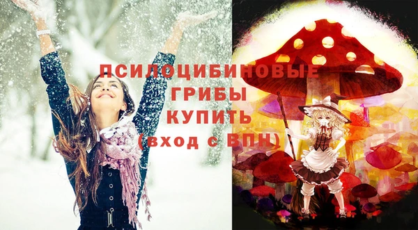 эйфоретик Магас