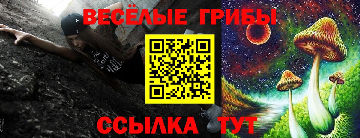 Галлюциногенные грибы мицелий  Псилоцибиновые грибы MAGIC MUSHROOMS  Тихвин  Вход с VPN 